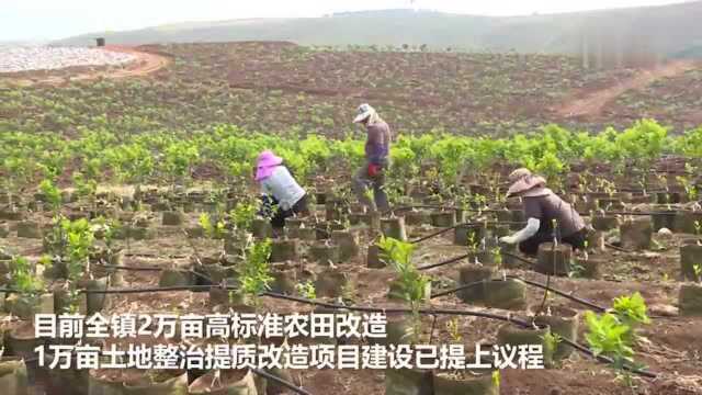 【视频】深山群众用上“幸福水”!滇西再添一跨流域引水水库