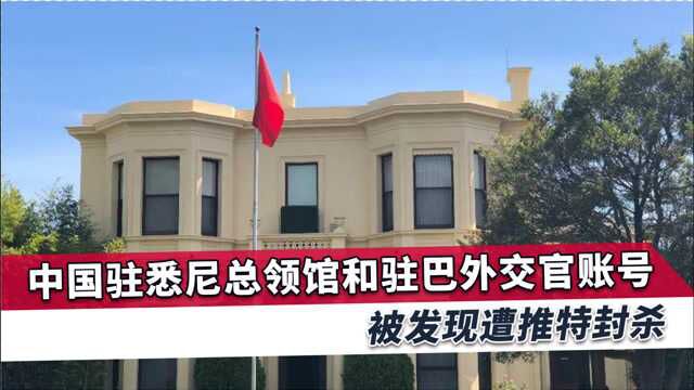 中国官方账号被推特封杀,原因竟和新疆有关,专家评论很有远见