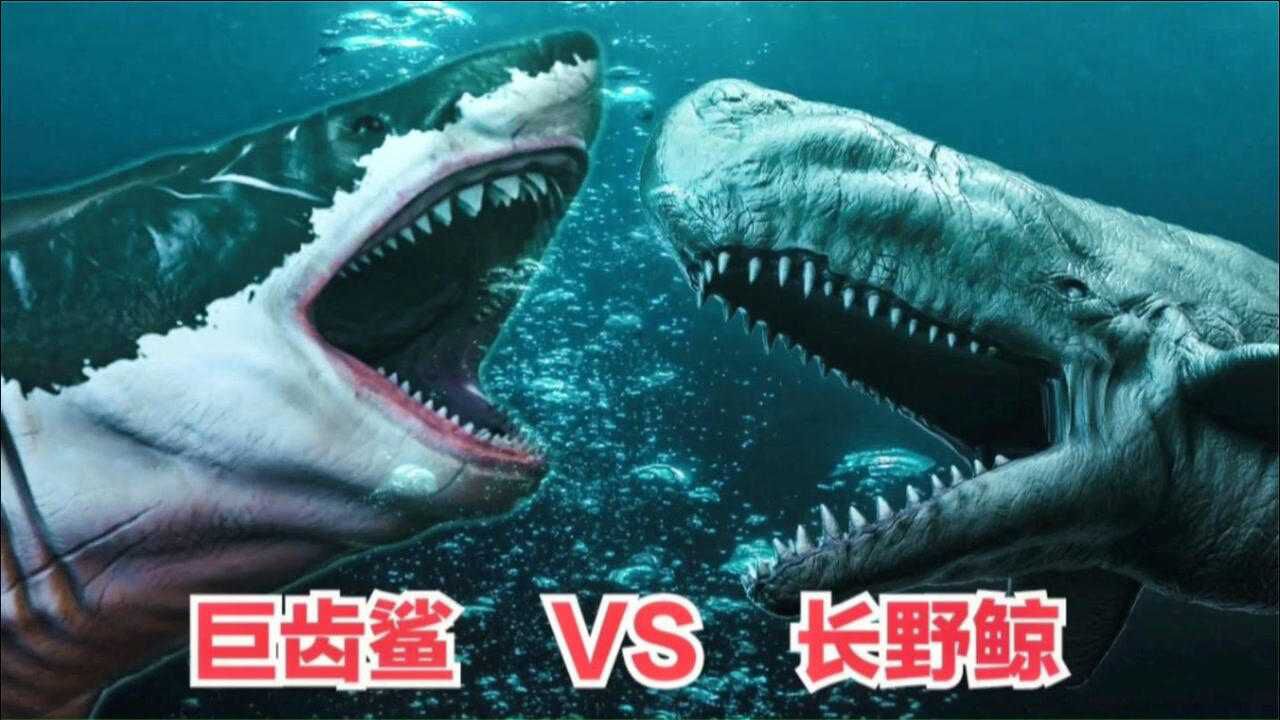 史前深海巨兽之巨齿鲨对战长野鲸谁才是远古海洋霸主