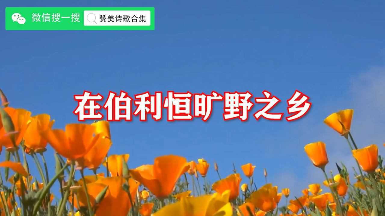 诗歌当年走旷野图片