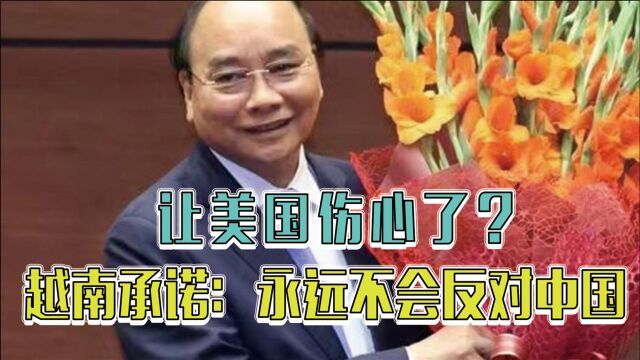 让美国伤心了?越南承诺:永远不会反对中国,石宏:信号十分强烈