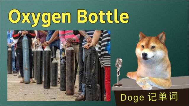 【Doge每日一词狗狗讲英语】oxygen氧(气) 高考托福雅思英语单词