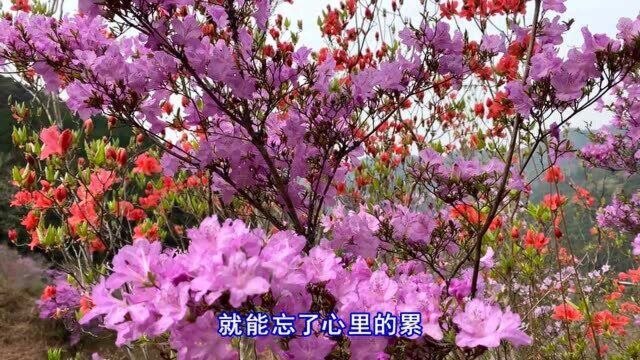 张师羽一曲伤感《爱你爱到忘了我是谁》谁知道只换来心碎的滋味