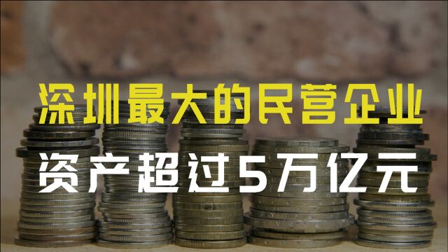 每天赚33亿!深圳最大的民营企业,资产超过5万亿元,你知道吗?