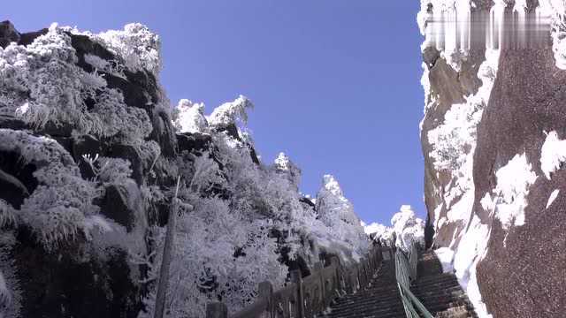 下雪啦!黄山雪景实拍,白雪皑皑,太美了!