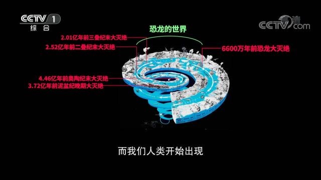 地质历史时期,生物经历了几次大灭绝?沈树忠现场介绍