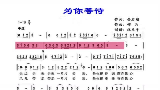 笛子独奏《为你等待》,看有声动态谱聆听