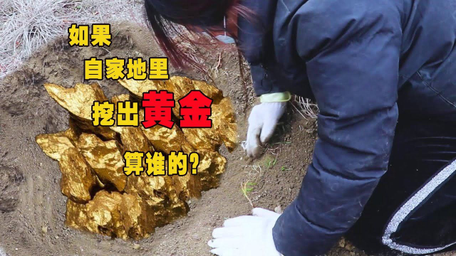 如果自家地里挖出黄金算谁的?