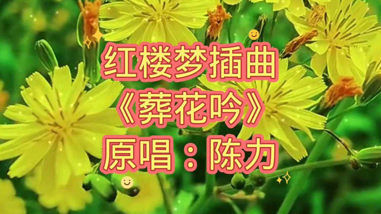 红楼梦插曲《葬花吟》陈力