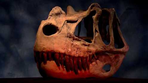 《恐龙探秘 猎手变猎物》- 角鼻龙和异特龙谁才是侏罗纪的霸主？
