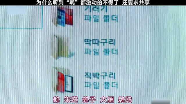 所以“鹎”到底是个什么东西