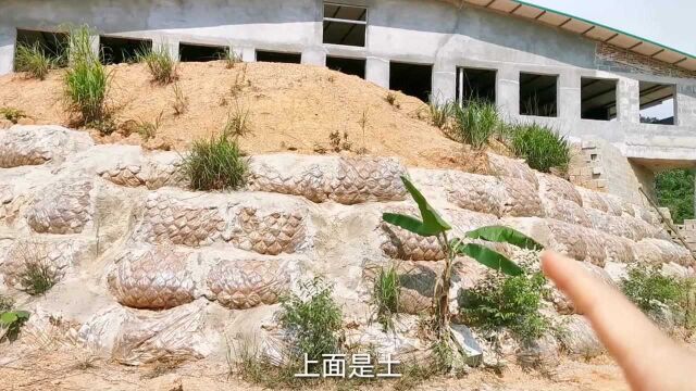 投资200万建的养猪场,没想到出现这种事,现在不敢养了