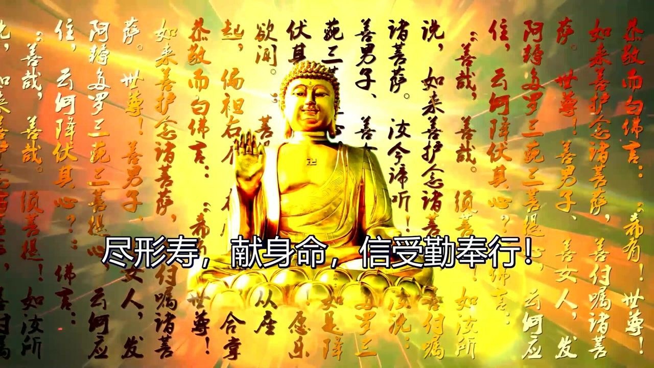 慧普法师《三宝歌》_高清1080P在线观看平台_腾讯视频