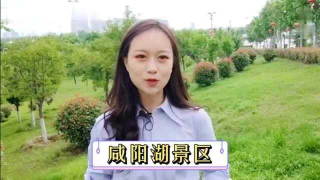 陕西日报全媒体行动走进咸阳湖:一湖两岸好风光!太美啦,快来逛