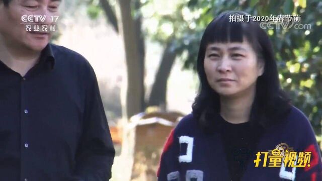 女子为养獭兔几乎满头白发,背后藏着怎样的创业故事呢