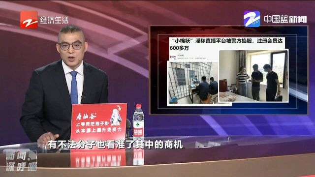 “小棉袄”淫秽直播平台被捣毁,注册会员达600多万