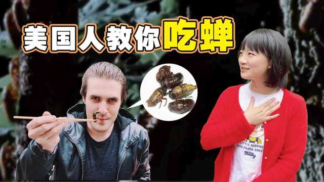 十七年蝉占领美东,美国人花式吃蝉,四川爆炒做法可还行?