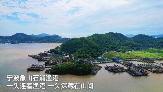 宁波象山石浦渔港,被誉为“城在港上,山在城中”.