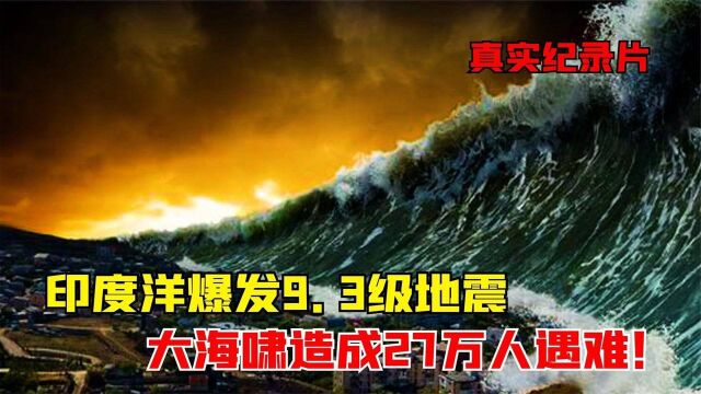 印度洋爆发9.3级地震,引发大海啸遇难27万人!真实纪录片