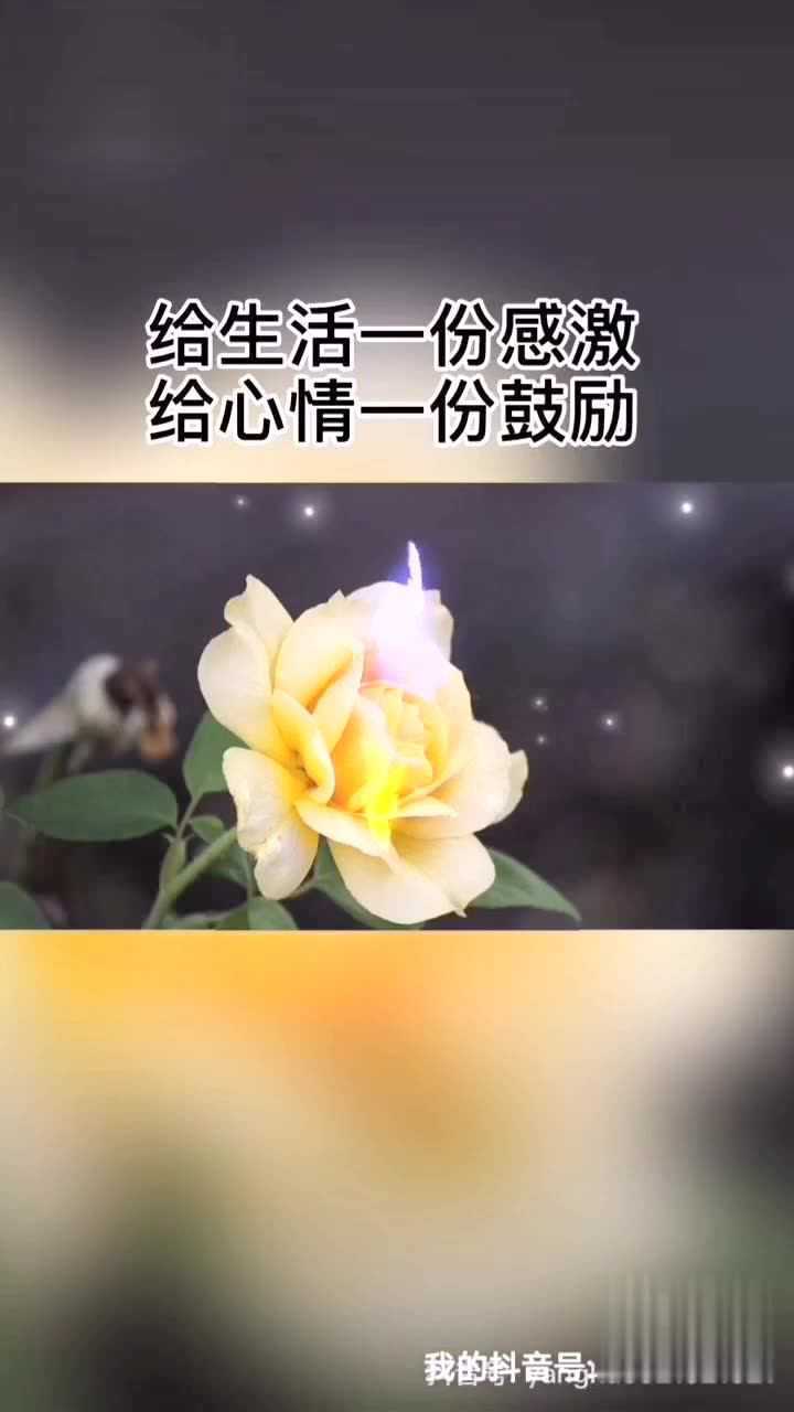 情感热线#新的一天,记得带上阳光和微笑,给别人一微笑,给自己一个