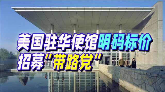 急了?美国驻华使馆公布“资助计划”,公开招募“带路党”