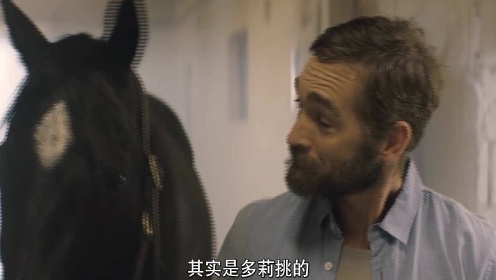 黑神驹  ：小女孩买了匹马，兴奋的告诉大家，取名淑女