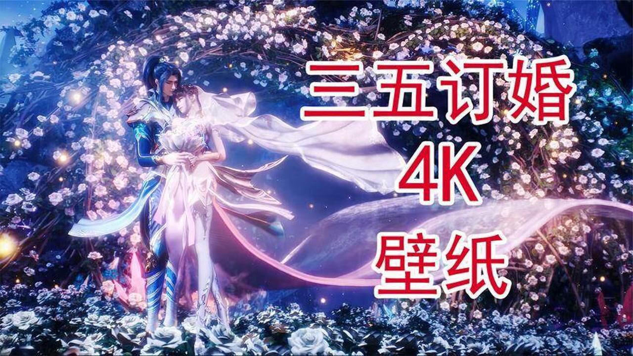 把唐三小舞订婚做成了4k动态壁纸我可真开心