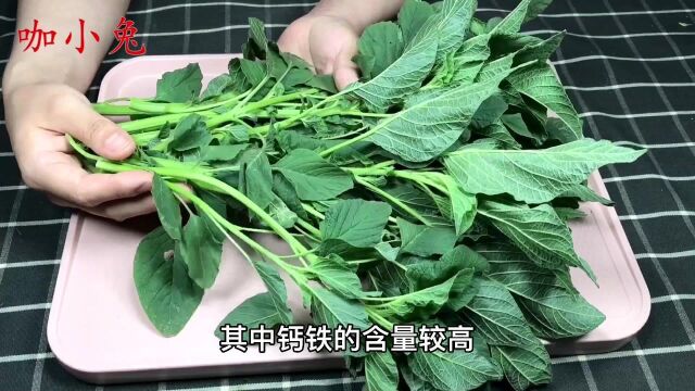 农村田间的野苋菜,人称“高钙菜”、“补血菜”,看看你吃过吗?