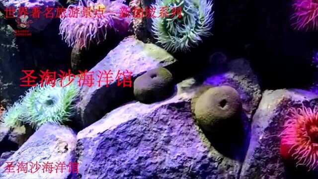 圣淘沙海洋馆3—世界著名风景,新加坡系列