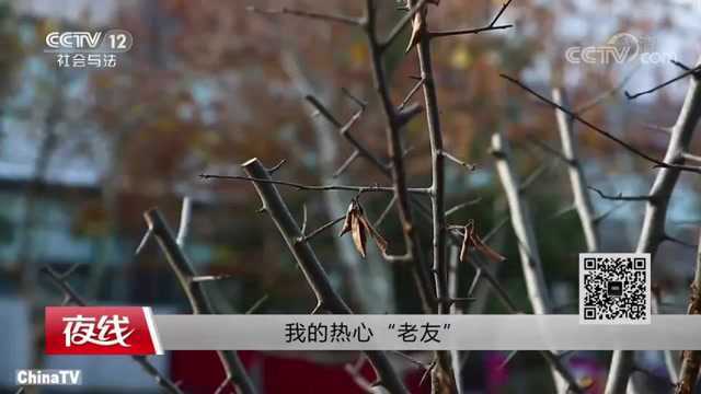 回顾:男子需要结婚,竟逼迫母亲拿出上海新房首付,导致陷入骗子陷阱