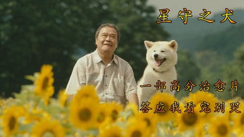 一部超越忠犬八公的神作 星守之犬 高分催泪 停不下来