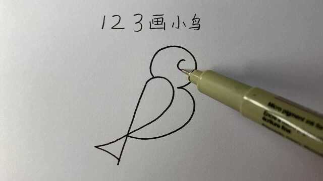 用123画美丽的小鸟,你学会了吗?