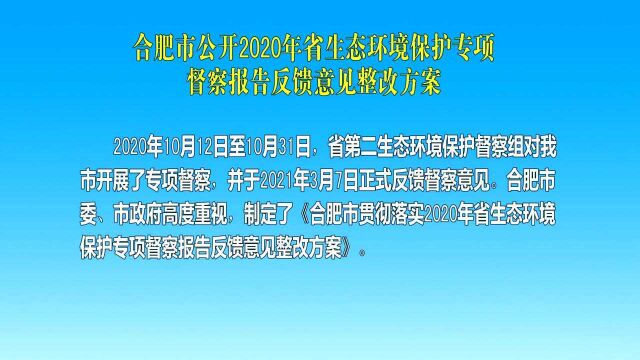 合肥市公开2020年省生态环境保护专项督察报告反馈意见整改方案