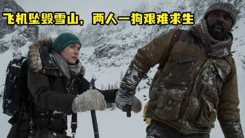 远山恋人：飞机坠毁冰山，两人一狗生存了30天