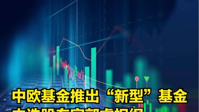 新消费投资机遇?中欧基金推出“新型”基金,由选股专家郭睿担纲