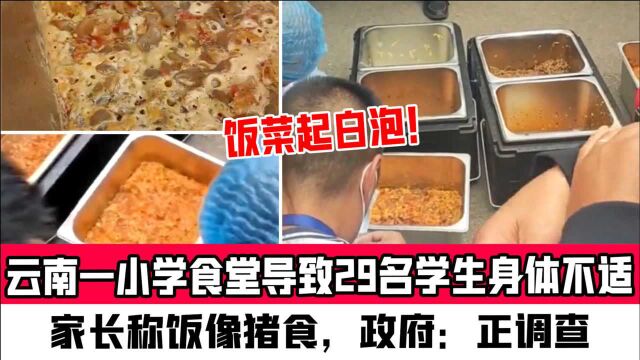 云南一小学食堂导致29名学生身体不适,家长称饭像猪食,政府:正调查