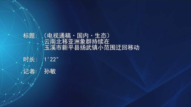 (电视通稿ⷥ›𝥆…ⷧ”Ÿ态)云南北移亚洲象群持续在玉溪市新平县扬武镇小范围迂回移动