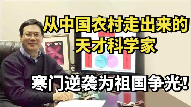 王中林:从中国农村走出来的天才科学家,寒门逆袭为祖国争光!