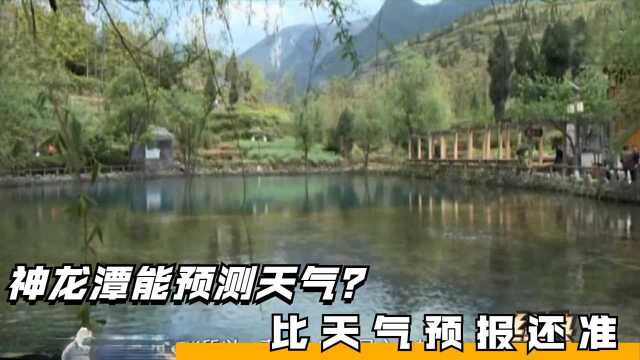 神龙潭能预测天气?当地村民表示比天气预报还准