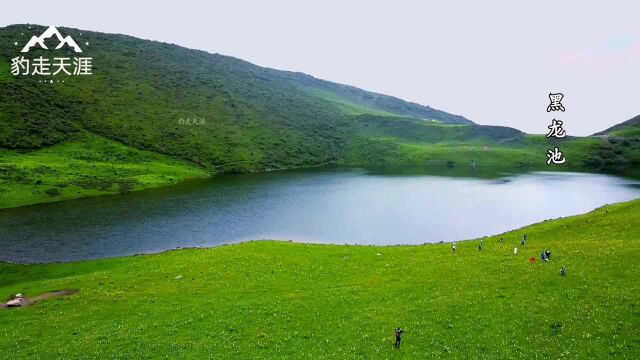 这处高原花海、湖泊,美若仙境,你想要的都有,茂县九顶山