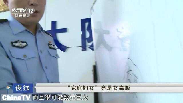 回顾:平淡无奇的家庭妇女,竟是“女毒贩”犯罪原因竟是因为“任性”