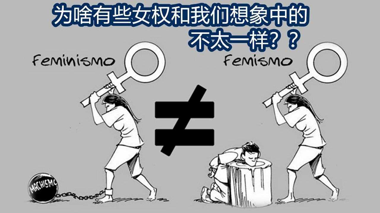 激进女权与其他女权的区别