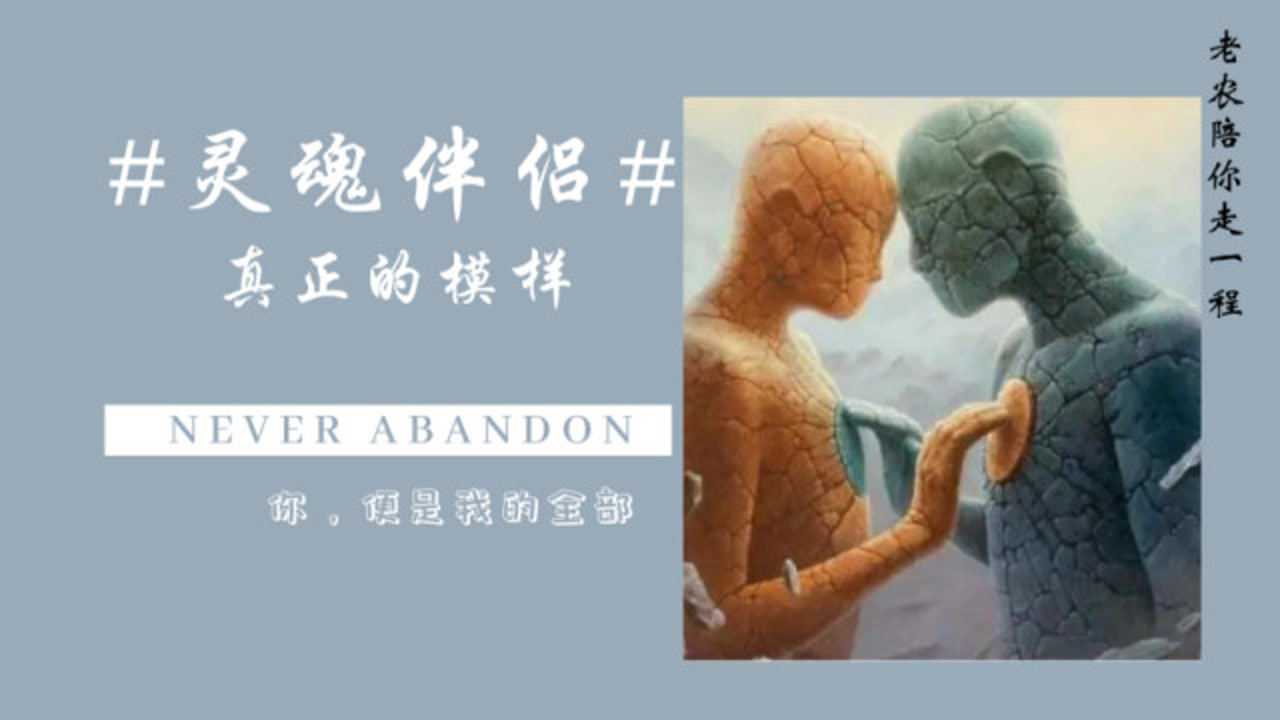 什么样的伴侣,才能称得上灵魂契合?