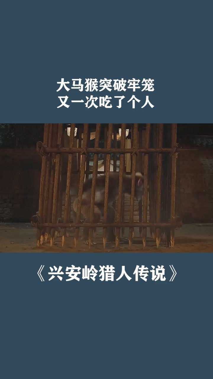 大马猴突破牢笼又一次吃了个人