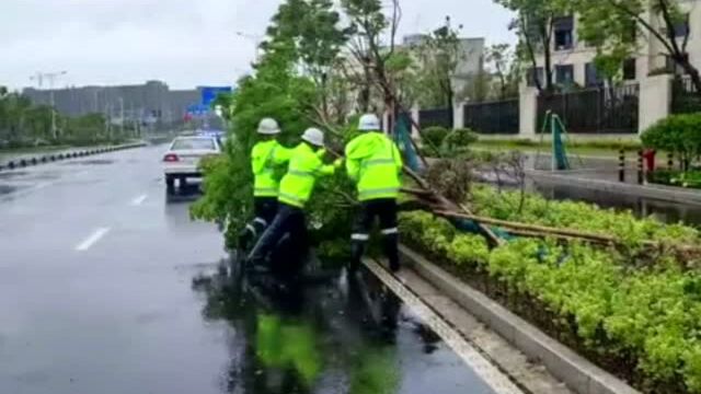 “我觉得我还能坚持……”宁波这个入职才半年的年轻辅警受伤仍坚守抗台一线