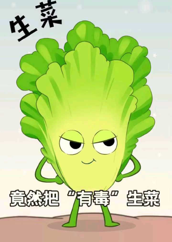 欧洲人居然把"有毒"生菜传入中国