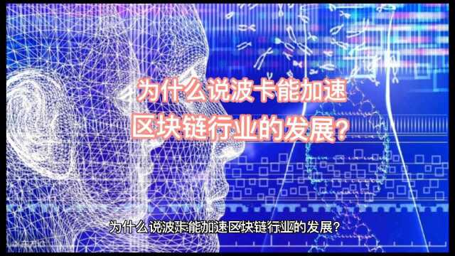 为什么说波卡能加速区块链行业的发展