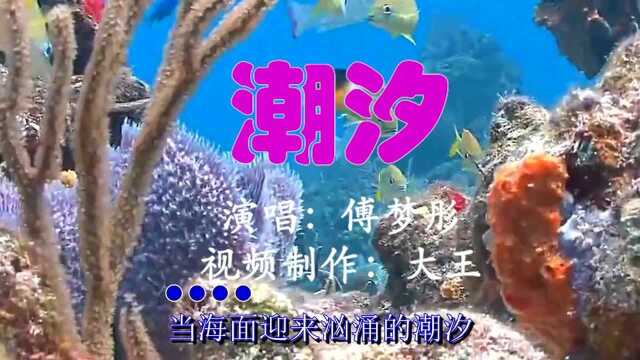 《潮汐 》傅梦彤,蓝色的海底,疯狂的寻觅 ,远山的风景,大海的神秘.