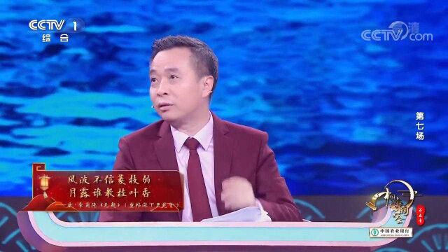 “未妨惆怅是清狂”中“清狂”有何含义?康震讲解