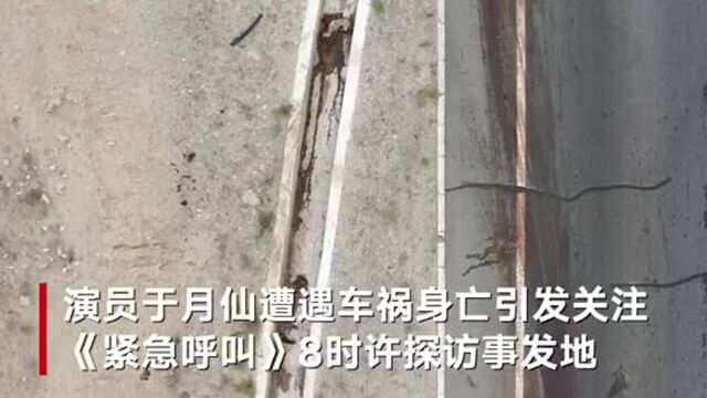 于月仙车祸事发地仍可见刹车痕迹:地上留有完整车牌 成群骆驼走到路中间